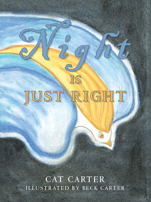 cover image of Night Is Just Right